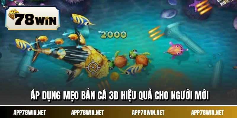 Áp dụng mẹo bắn cá 3d hiệu quả cho người mới
