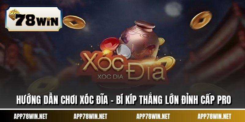 Hướng Dẫn Chơi Xóc Đĩa - Bí Kíp Thắng Lớn Đỉnh Cấp Pro