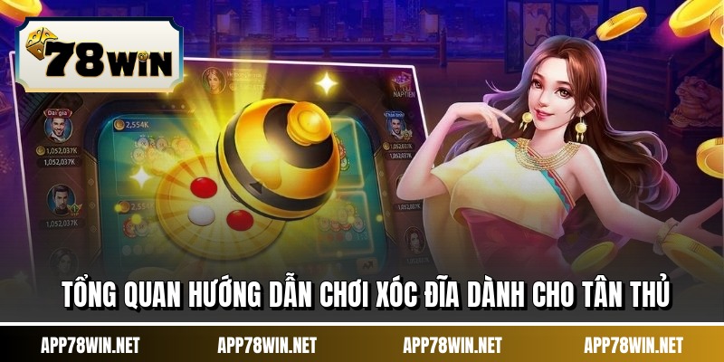 Tổng quan hướng dẫn chơi xóc đĩa dành cho tân thủ